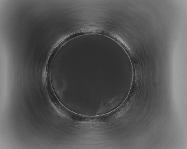 X0000116120674200911231216