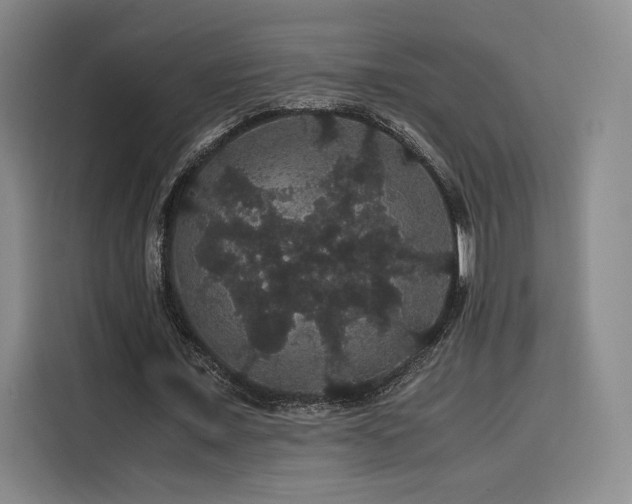 X0000116120675200911231216