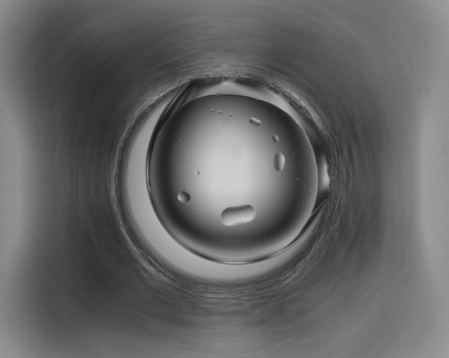 X0000116120677200911231216