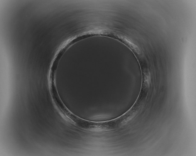 X0000116120678200911231215