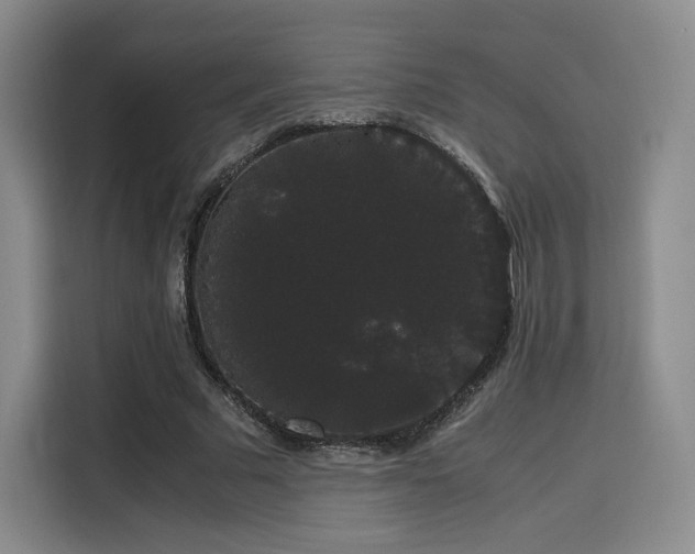 X0000116120681200911231215