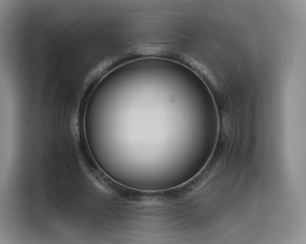 X0000116120682200911231215