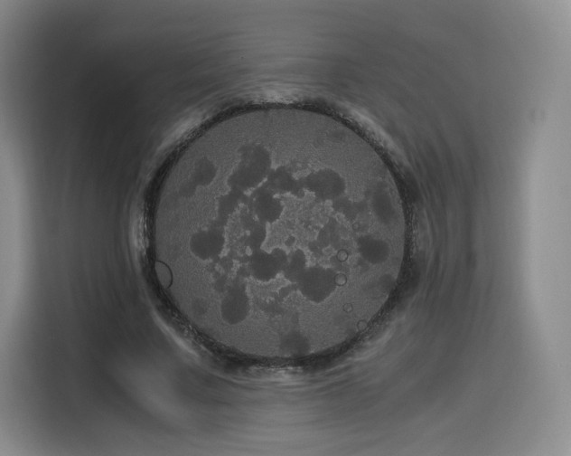 X0000116120683200911231215