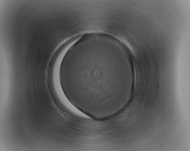 X0000116120684200911231215