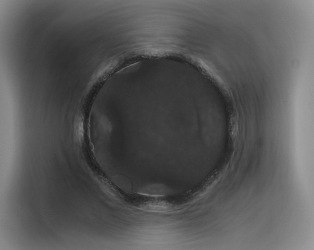 X0000116120685200911231215