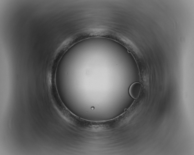 X0000116120686200911231215