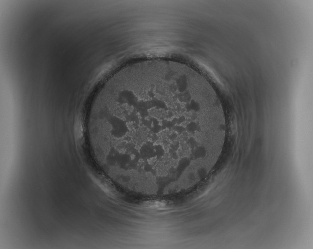 X0000116120687200911231215