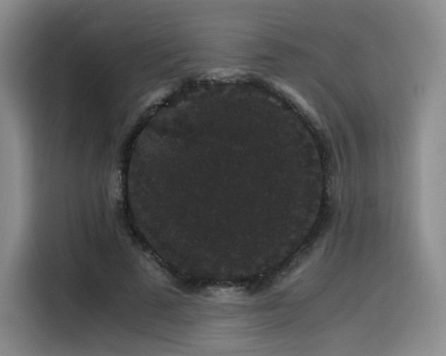 X0000116120689200911231215