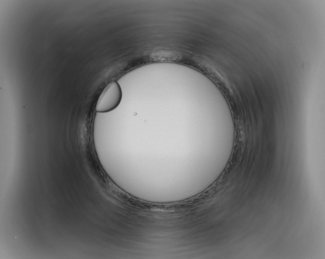 X0000116120690200911231215