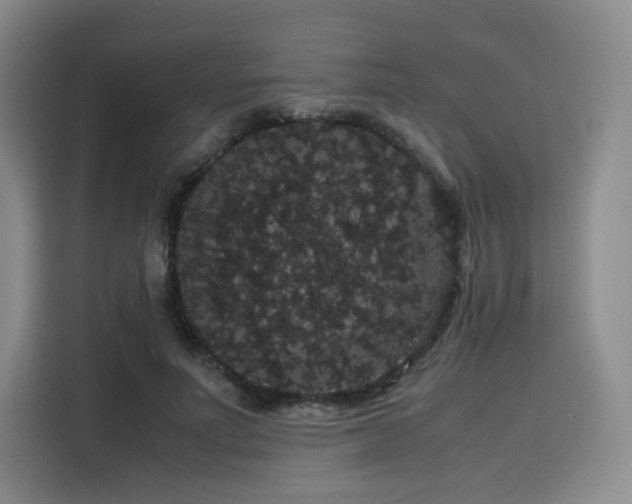 X0000116120691200911231215