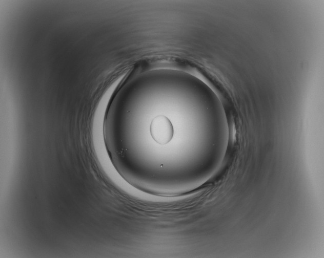 X0000116120693200911231215