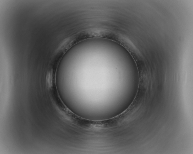 X0000116120694200911231215