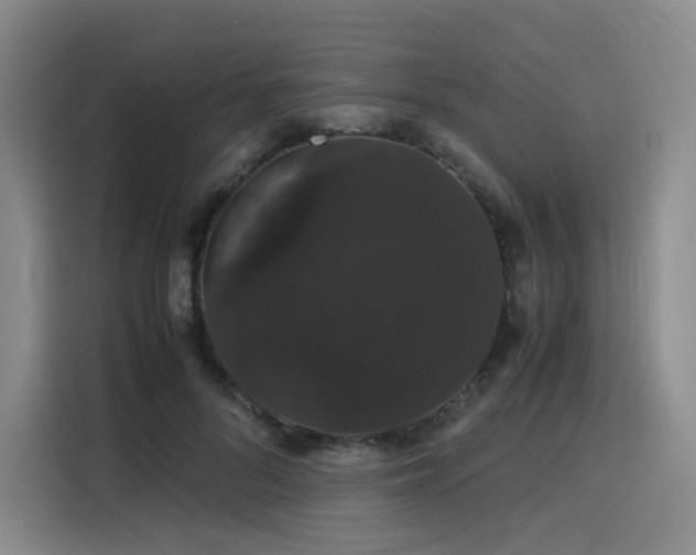 X0000116120696200911231215