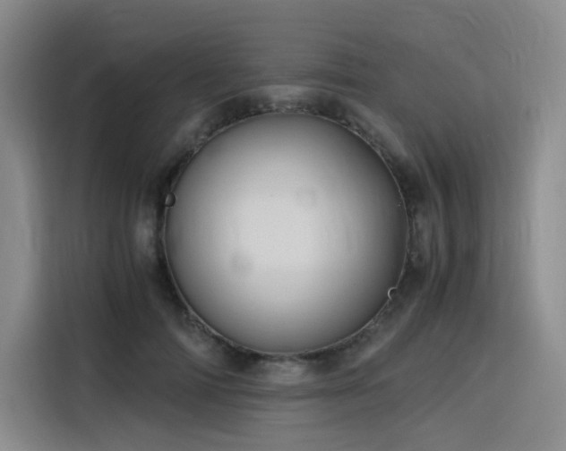 X0000116120698200911231215