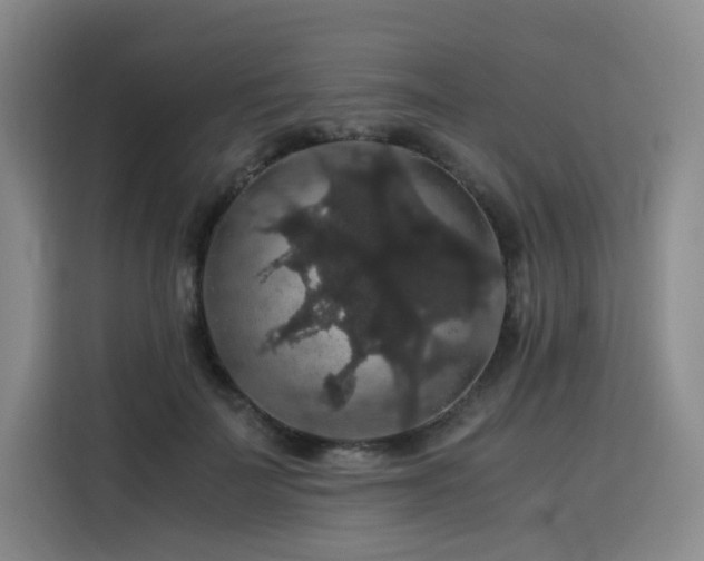 X0000116120699200911231215