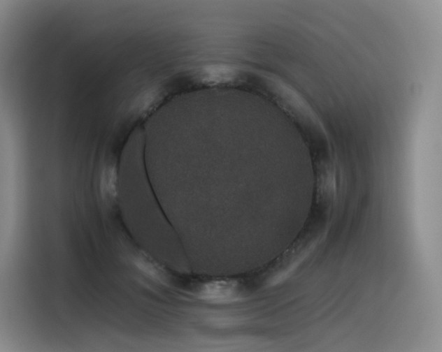 X0000116120700200911231215