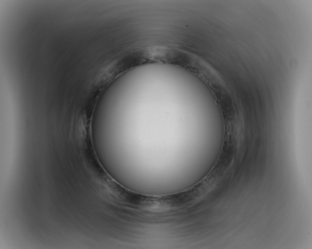 X0000116120702200911231215