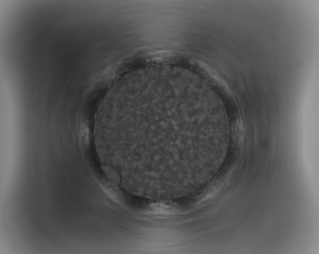 X0000116120703200911231215