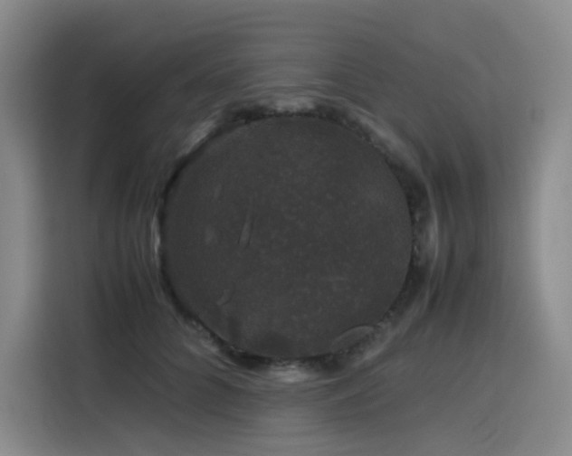 X0000116120704200911231215