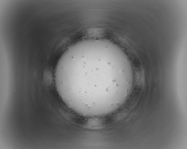 X0000116120705200911231215