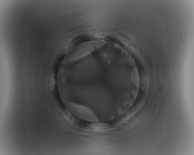 X0000116120707200911231215