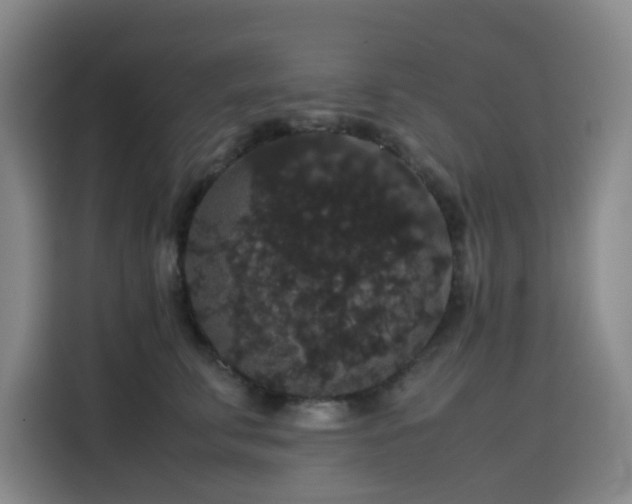 X0000116120711200911231215