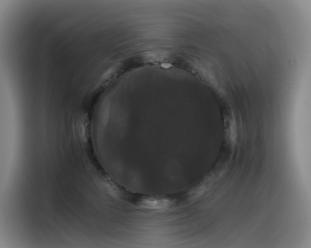 X0000116120712200911231215