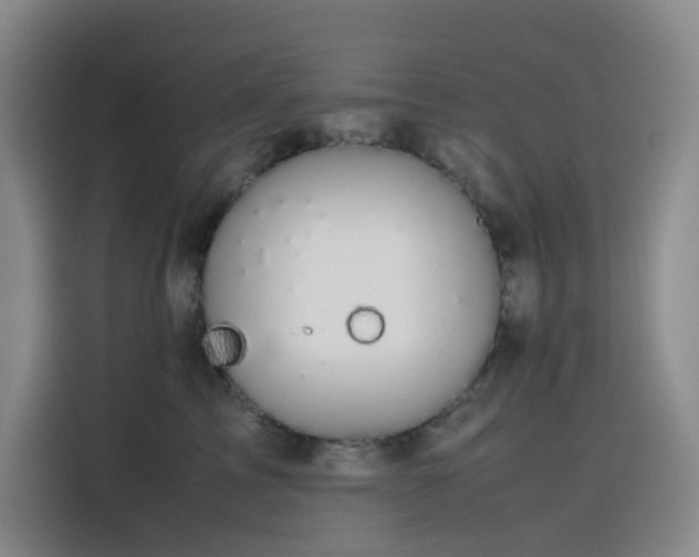 X0000116120713200911231215