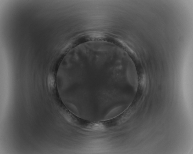 X0000116120715200911231215