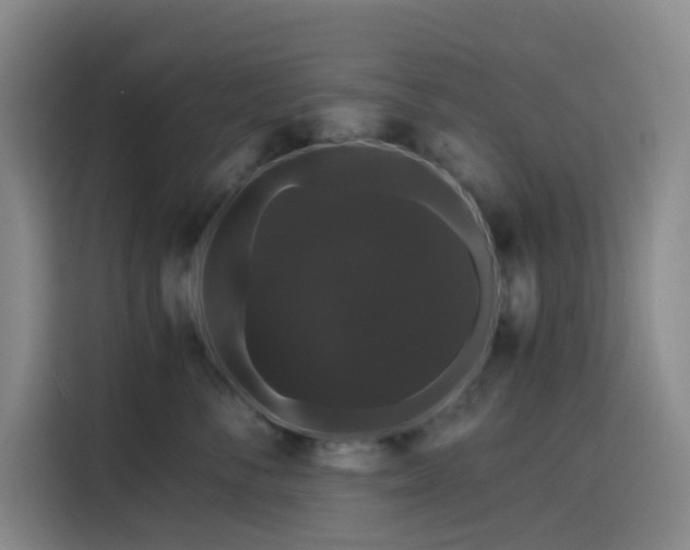 X0000116120716200911231215