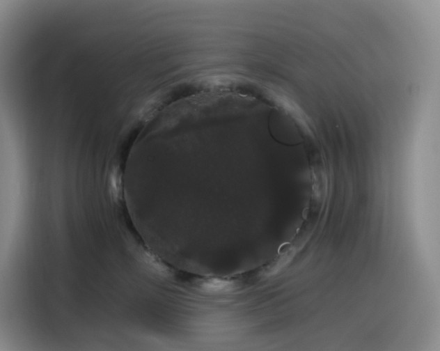 X0000116120718200911231215