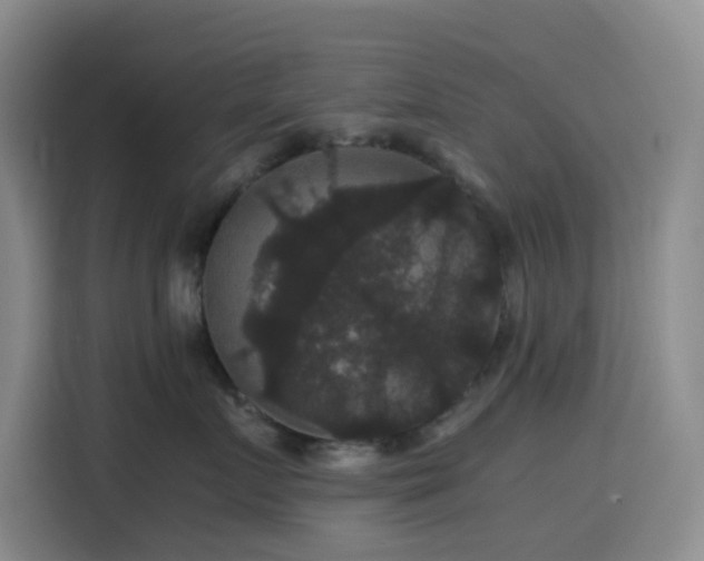 X0000116120719200911231215