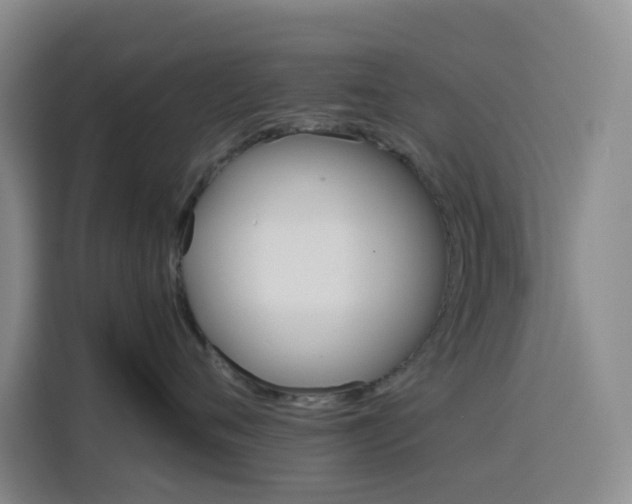 X0000116120720200911231215