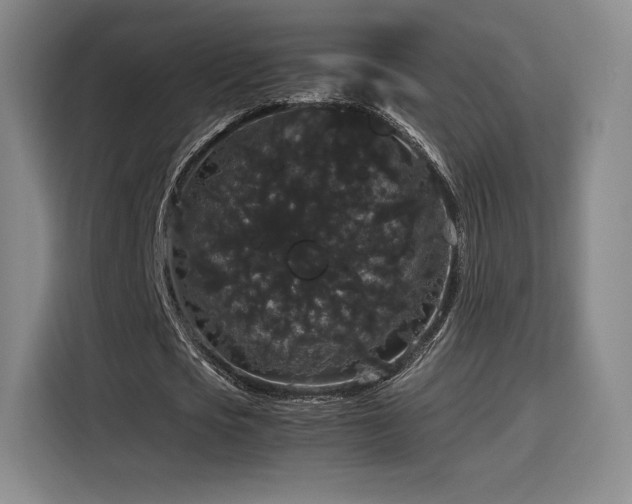 X0000116120721200911231214