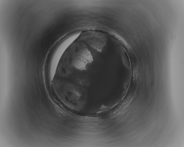 X0000116120722200911231214