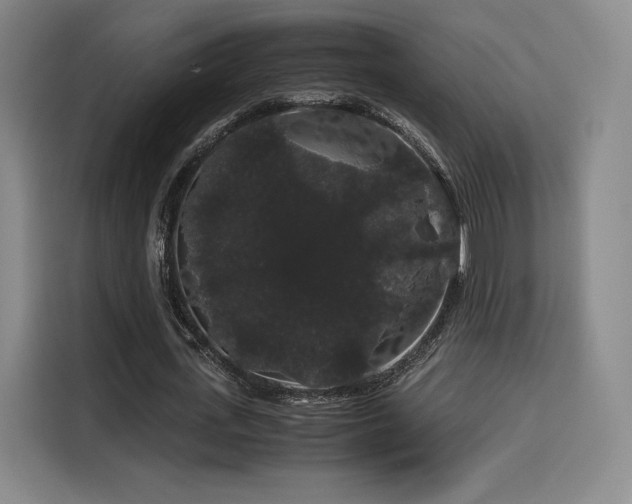 X0000116120723200911231214