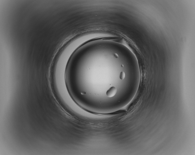 X0000116120725200911231214