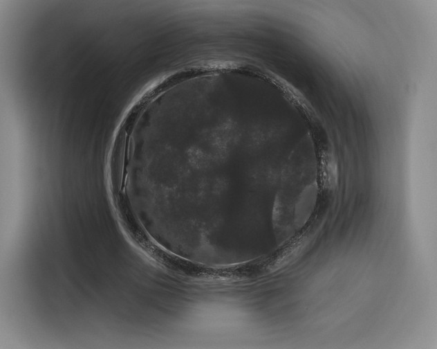 X0000116120726200911231214