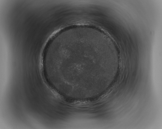 X0000116120727200911231214