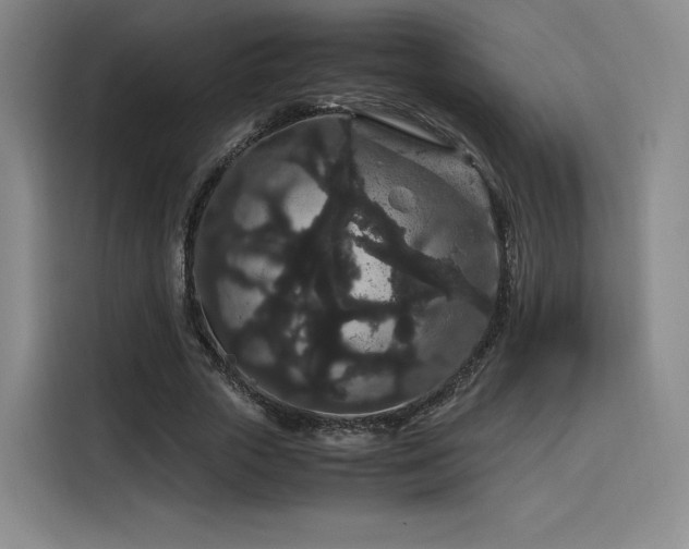 X0000116120729200911231214