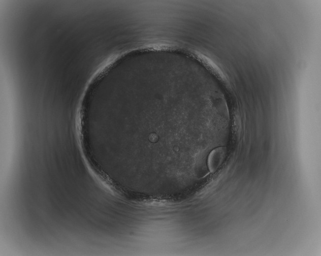 X0000116120730200911231214