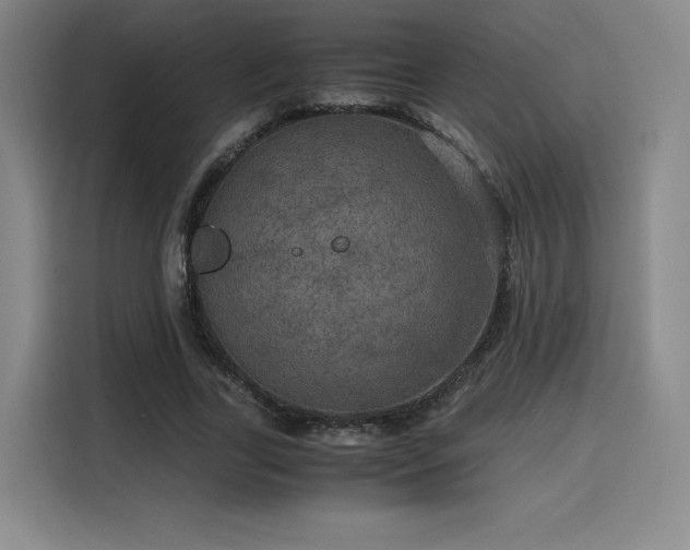 X0000116120731200911231214