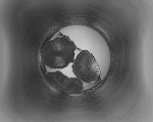 X0000116120733200911231214