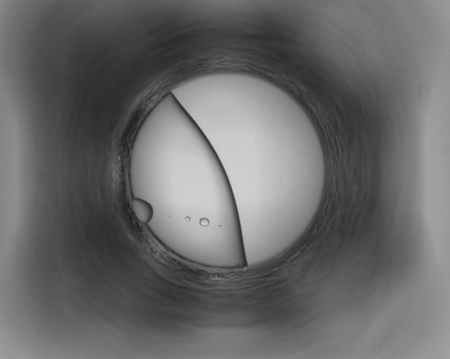 X0000116120735200911231215