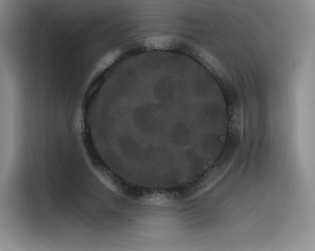 X0000116120738200911231215