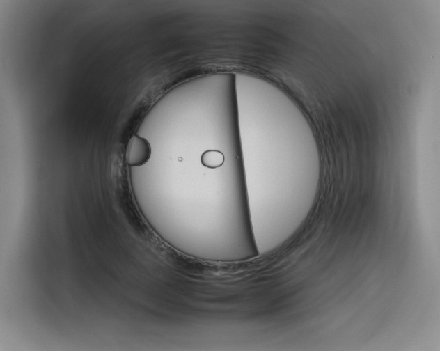 X0000116120739200911231215