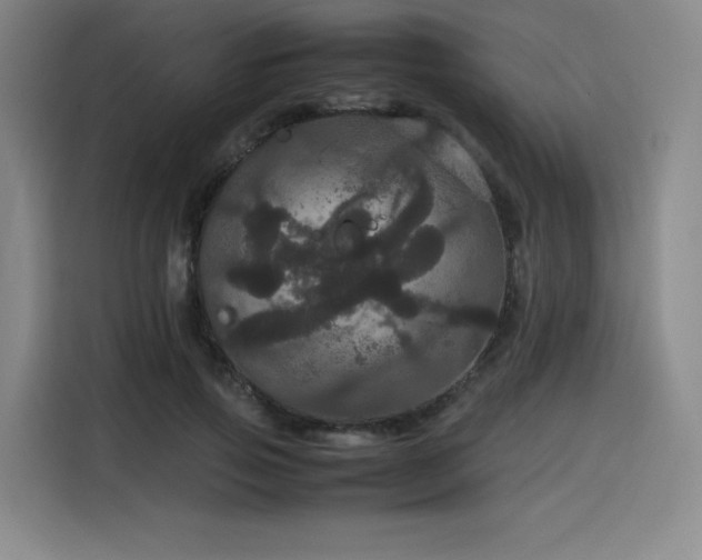 X0000116120741200911231215