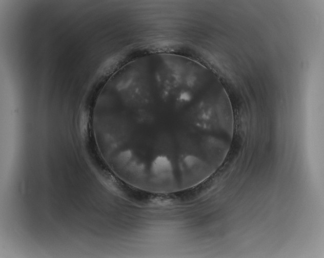 X0000116120742200911231215