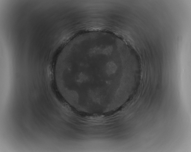 X0000116120743200911231215