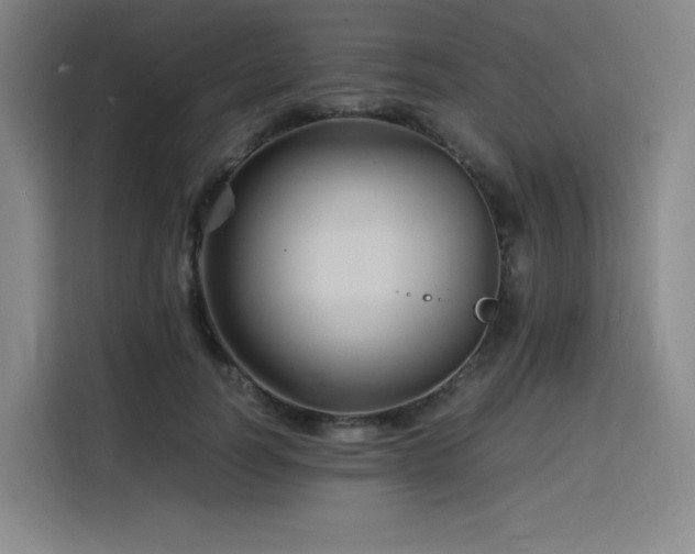 X0000116120746200911231215